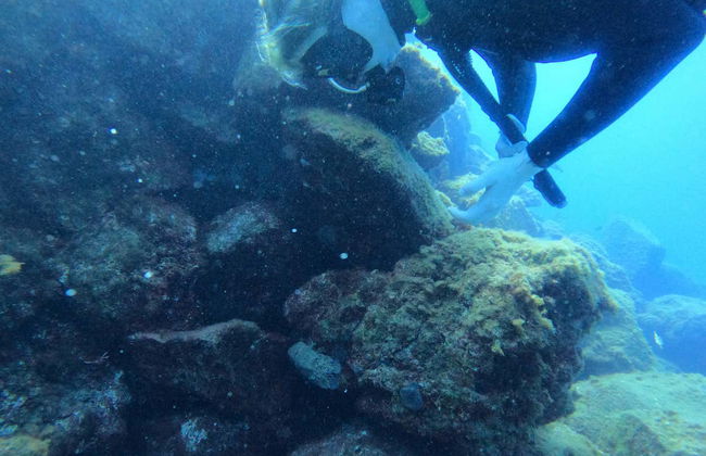 Bautismo de buceo en La Lajita - Foto 4