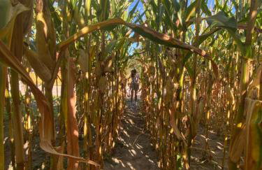 Dom Na Wsi ,, Koszelówka " - Foto 46