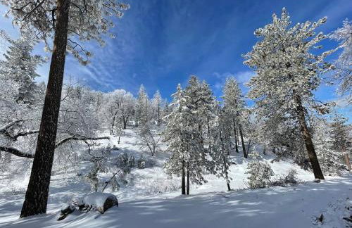 Secluded Mountain Retreat - Foto 34