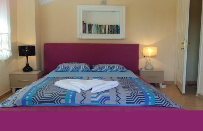 Dalyan Palace - Photo 11