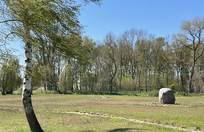 1 bedroom Apartment in Splietsdorf with garden and terrace - Photo 19