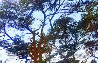 CampOloHel- przyczepa kempingowa - Foto 8