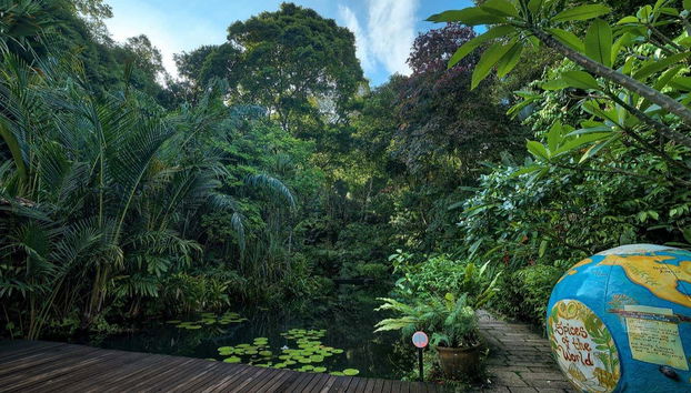 Terrazza delle spezie del mondo