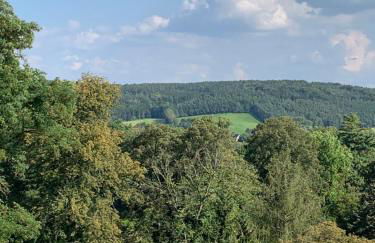 Ferienwohnungen Gabriele Waldenburg - Foto 51