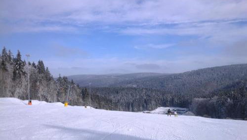Ski und Wanderurlaub im Wald Ferienhaus Adlerblick - Foto 5