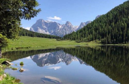 CASA BERNARD Zortea VANOI cuore verde del Trentino - Foto 23