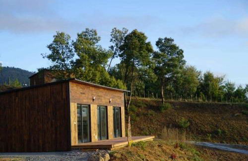 Quinta da Pedrulha - Foto 16