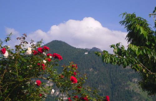 Ferienwohnung Buchner | Chiemgau Karte - Foto 21