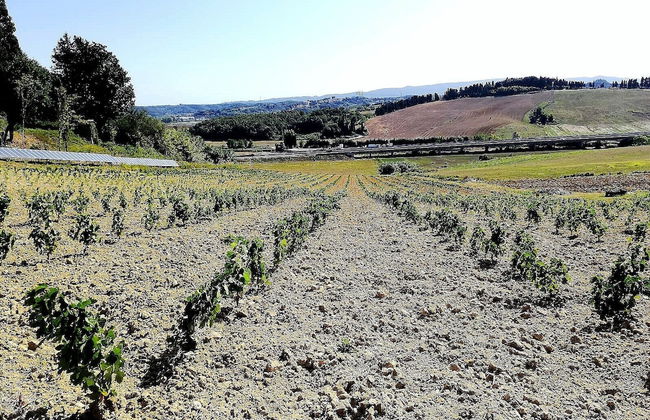 Agriturismo Campo al Sole - Foto 12