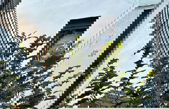 Casas da Corujeira 2 - Foto 62