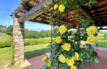 Fattoria Montignana - Foto 43