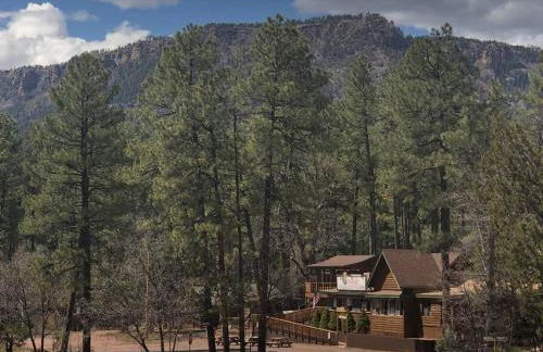 Forest Cabin 7 Seventh Heaven - Foto 14