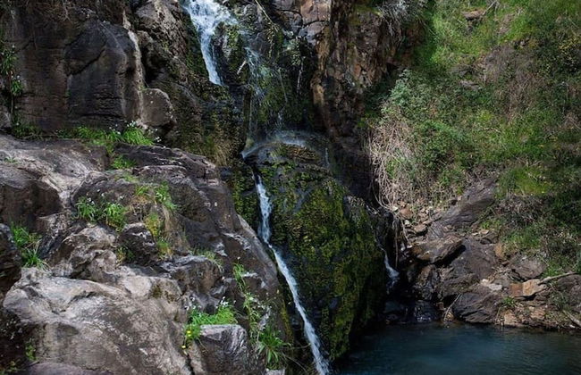 3BR 2 BTH No Stairs Aircon Big Athelstone Home - Foto 35