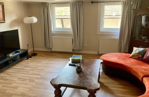 Charmante maison de 140m2 au bord de la rivière au coeur de Wissembourg - Foto 25