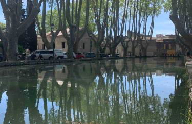 Le Cabanon de Livia avec piscine privée - Foto 53