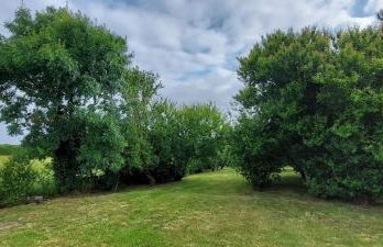 La Longère du champ de la Mer - Foto 8