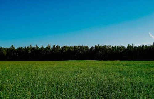 Luxe Nordic Barndominium Retreat at Black Pine - Foto 37