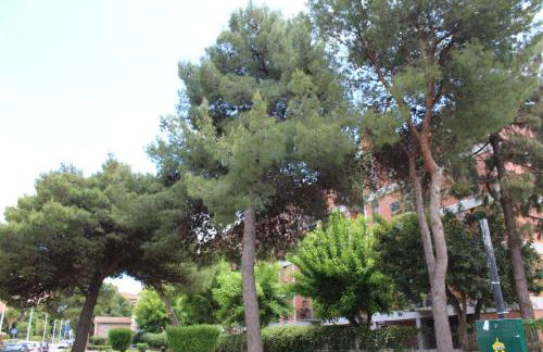 Chelu & Luna - Foto 58