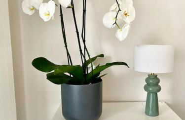 Vacances paradisiaques à la plage - Photo 2