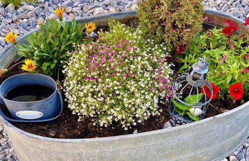 Ferienhaus am Schloßpark - Foto 18