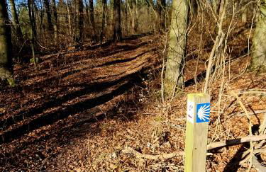 Second Home - Foto 36