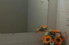 Casa flor de Mandacaru - Foto 19