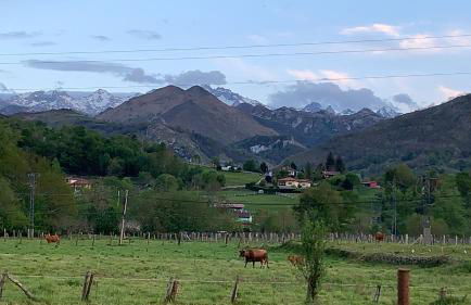 Casa La Huerta - Foto 45