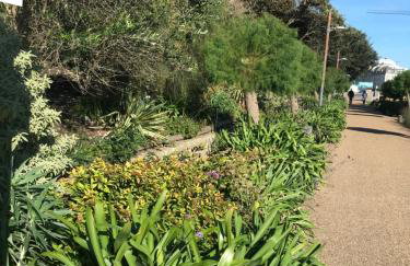 Unique seafront 2 bedroom 2 bathroom apartment - Foto 33