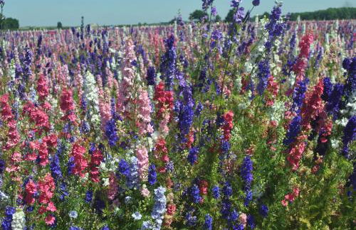 The Freight Wagon - Photo 18