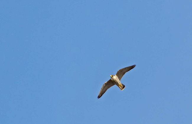 Randonnée au cerro del Mono - Photo 6