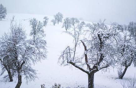 Studio Dinkelberg - Foto 30