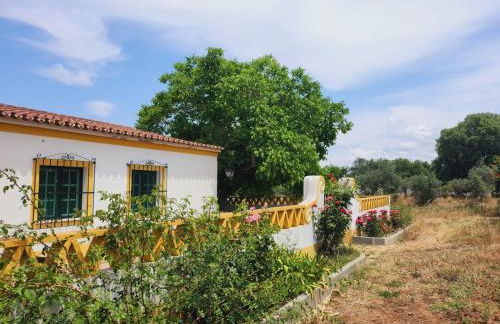 Montinho do Palanque - Foto 47