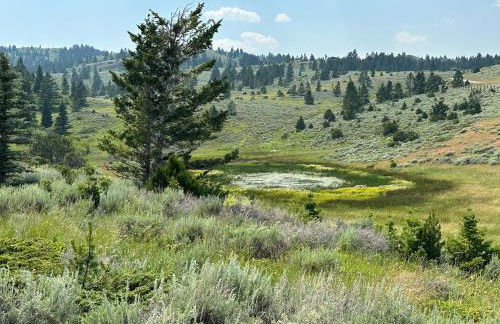 Madison Valley Vista Designer Suite - Foto 11