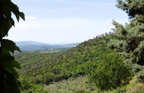 Casa MarJù - Foto 17