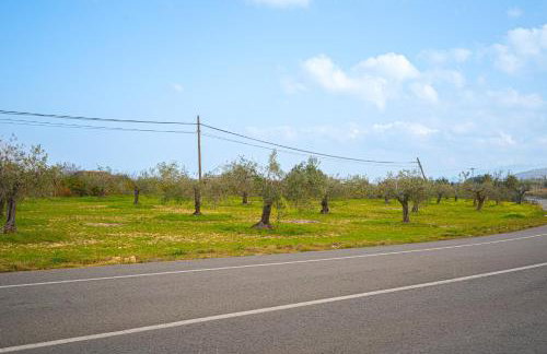 La Mandarina - Foto 18