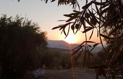 Casa Rubito el Olmo - Foto 28