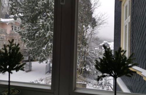 Apartment Villa am Kurpark by Interhome - Foto 16