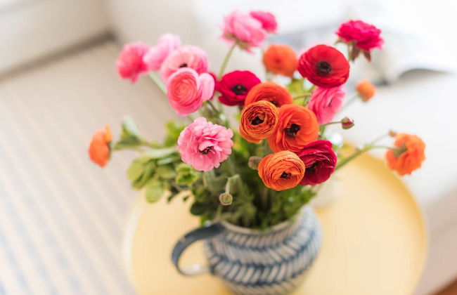 Apartamentos Praça Amarela - Foto 36