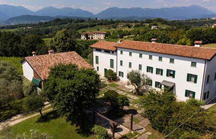 GATTO IN VIGNA - Foto 21