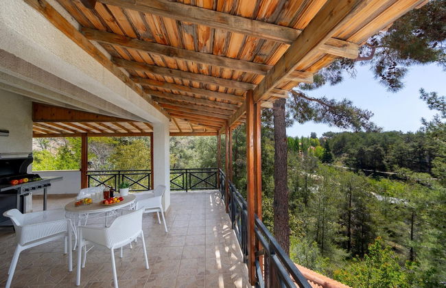 Platres Forest Panorama - Foto 40