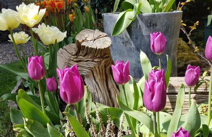 Graziers Cottage - character Cotswold cottage with inglenook, parking and pub nearby - Foto 24