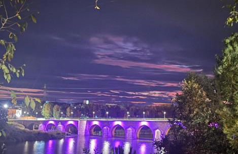 El palacio de Juana - Photo 73