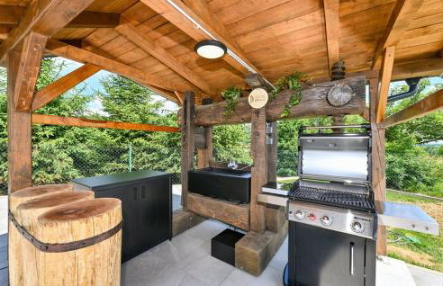 Skitnica House Brulo - Photo 5