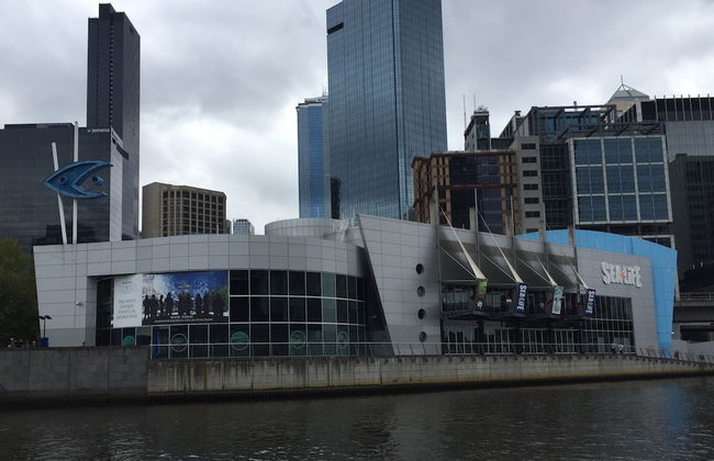 Short Stay Apartment at Flinders - Foto 15