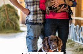 Très bel appartement au gets - Foto 41