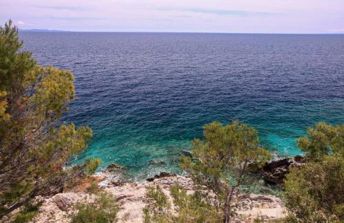 Robinson Lovorka - Foto 69