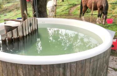 Maison pittoresque à Sainte-Croix-aux-Mines, vue sur la montagne - Foto 27