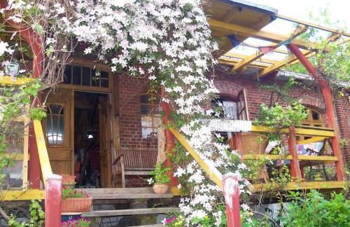 Windmühle an der Nordsee in der Nähe Büsum - Photo 7