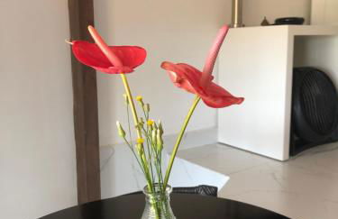 Casa dos pássaros - Foto 13