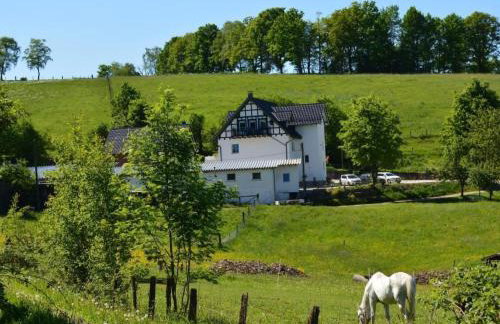 Apartment in Feldmannshof mit Grill und Garten by Interhome - Foto 42